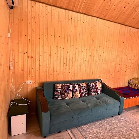 Eldos_Kolsai Villa Saty Екстериор снимка